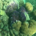 Photo taken by Julie H