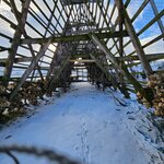 Photo taken by Sharon S