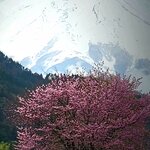 Photo taken by Sailesh P