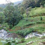 Photo taken by Brett F