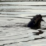 Photo taken by Sathees R