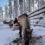 Photo taken by Raylene C