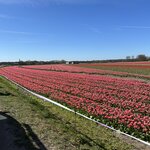 Photo taken by Jennifer D