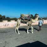 Photo taken by Raelene S