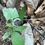 Photo taken by Tony F