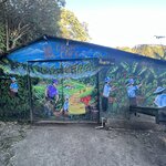 Photo taken by Darcy M