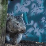 Photo taken by Linnaea M