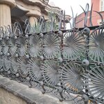 Photo taken by Bailey W