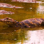 Photo taken by Dennis H