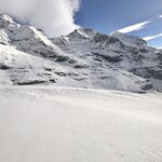 Photo taken by Lisa H