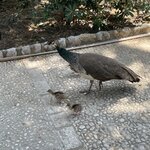 Photo taken by Shari B