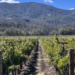 Photo taken by kirsten b