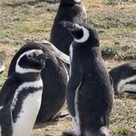 Photo taken by Marcia R