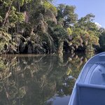 Photo taken by Joyce C