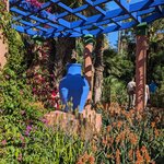 Photo taken by Beth M