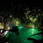 Photo taken by Kate R