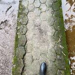 Photo taken by Breann B