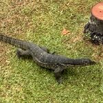 Photo taken by Edit M