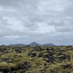 Photo taken by Christina L