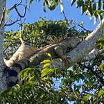 Photo taken by Kim L