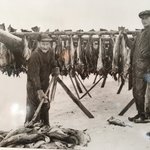 Photo taken by Michelle J