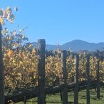 Photo taken by Judy H