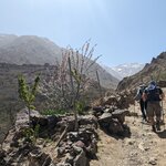 Photo taken by Beth M