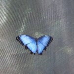 Photo taken by Joyce C