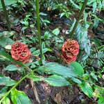 Photo taken by Jacob S