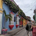 Photo taken by Martha V