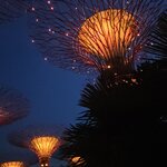 Photo taken by Sabiha K