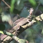 Photo taken by Ben B