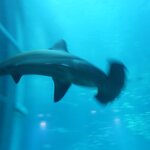 Photo taken by Jason P