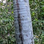 Photo taken by Ciarra N