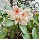 Photo taken by cassie f