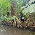 Photo taken by Darla D