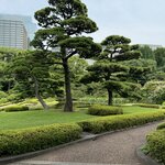 Photo taken by Nicoline v