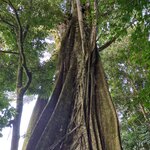 Photo taken by Victoria E