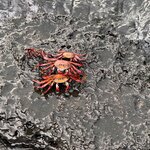 Photo taken by Ben S