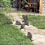 Photo taken by rhonda c