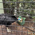 Photo taken by Cindy H