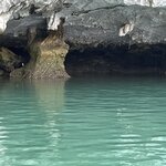 Photo taken by Kimberly A