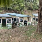 Photo taken by Joyce C