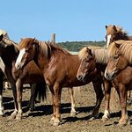 Photo taken by Anita H