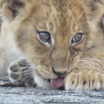 Photo taken by Kristin M