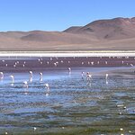 Photo taken by Shirley S