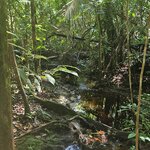 Photo taken by Sabiha K