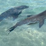 Photo taken by Thomas L