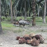 Photo taken by Edit M