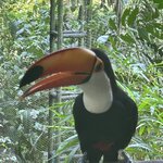 Photo taken by Randall D